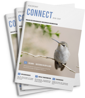 Voicepoint Connect Magazin 2018